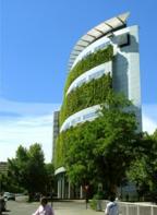 Варианты озеленения фасадов зданий