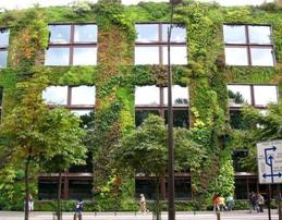 Варианты озеленения фасадов зданий