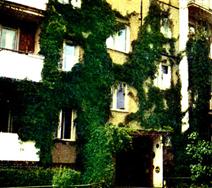 Примеры озеленения фасадов жилых домов в Ялте