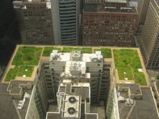 Примеры озеленения крыш зданий